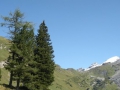 Engstlenalp01